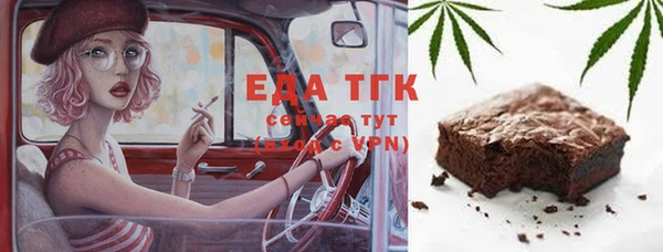 индика Саяногорск