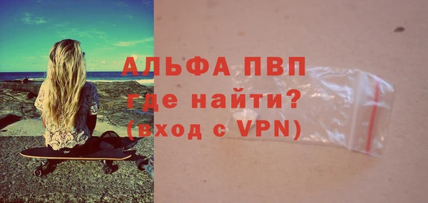 индика Сатка