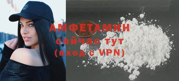 индика Саяногорск