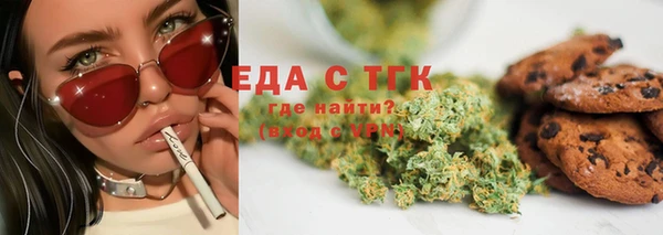 индика Сатка