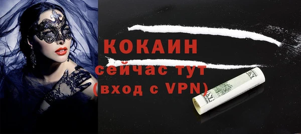 индика Саяногорск