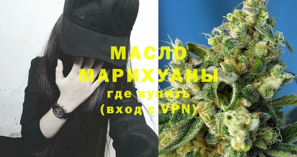 индика Сатка