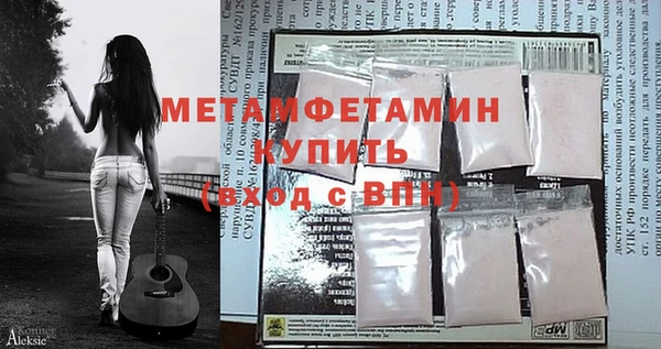 индика Сатка