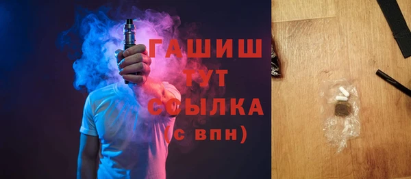 индика Сатка
