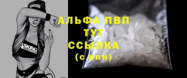 индика Сатка