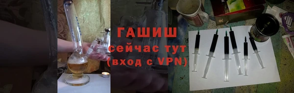 индика Сатка