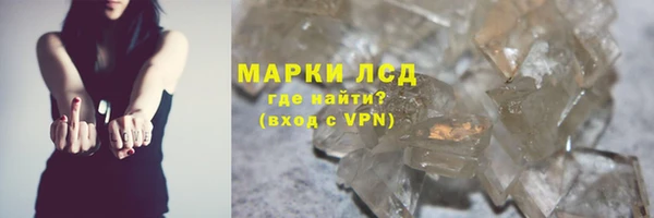индика Сатка