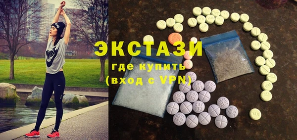 индика Сатка