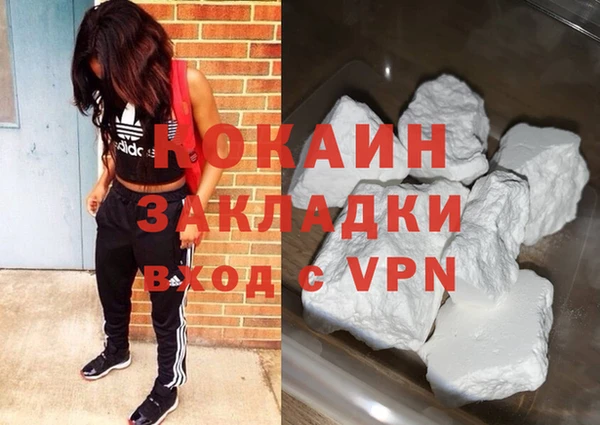 индика Сатка