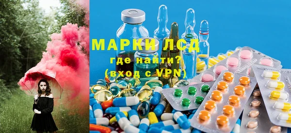 индика Саяногорск