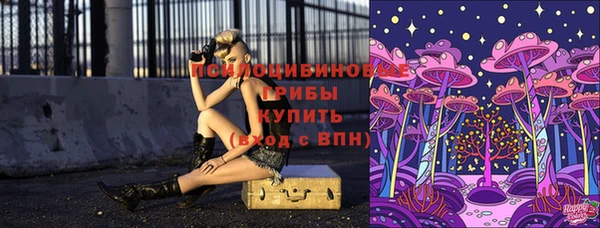 индика Саяногорск