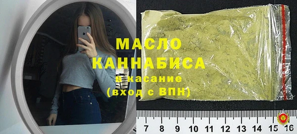 индика Сатка