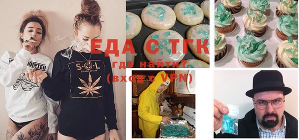 индика Сатка