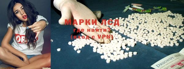 индика Саяногорск