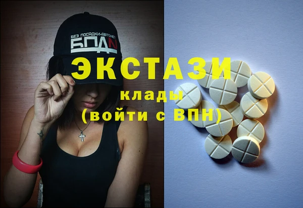 индика Саяногорск