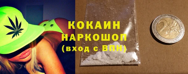 индика Саяногорск
