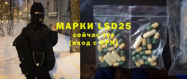 индика Саяногорск