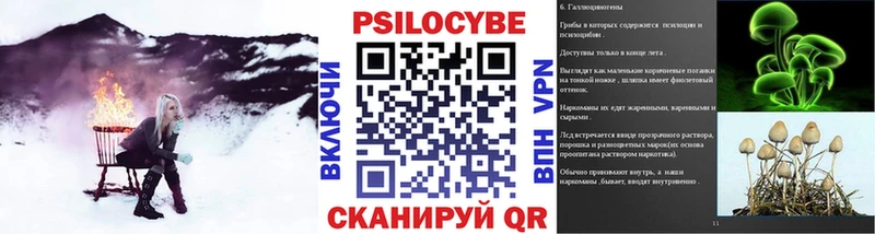 Псилоцибиновые грибы Magic Shrooms  где можно купить   Ступино 