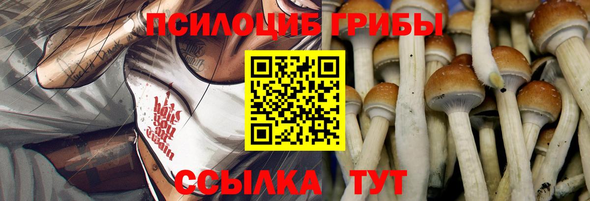 Галлюциногенные грибы MAGIC MUSHROOMS  магазин  наркотиков  Ступино  Вход с VPN 