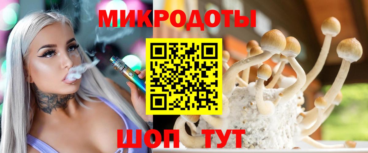 Псилоцибиновые грибы Psilocybine cubensis Ступино