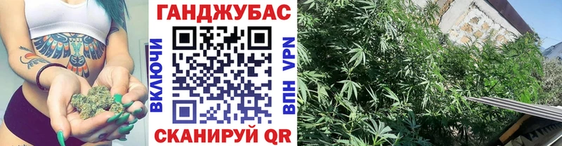 мега сайт Ступино Канабис марихуана купить закладку